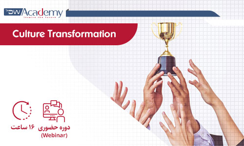 digiwiseacademy culture transformation webinar