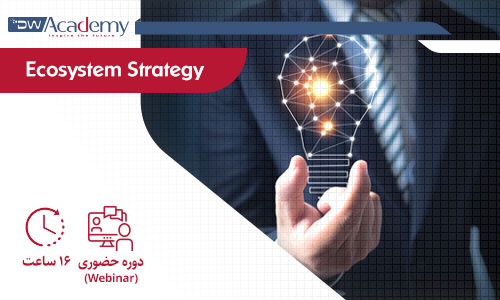 Digiwise Academy Ecosystem Strategy Webinar